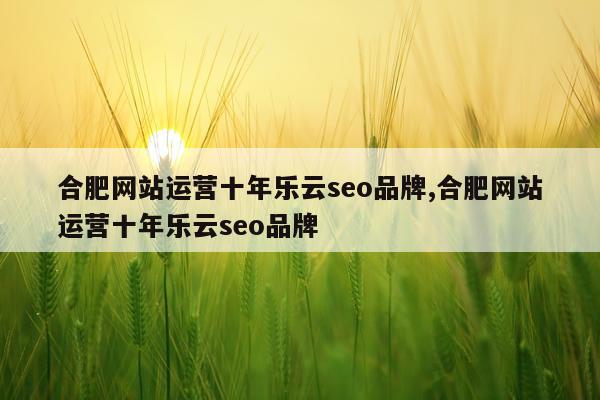 合肥网站运营十年乐云seo品牌,合肥网站运营十年乐云seo品牌