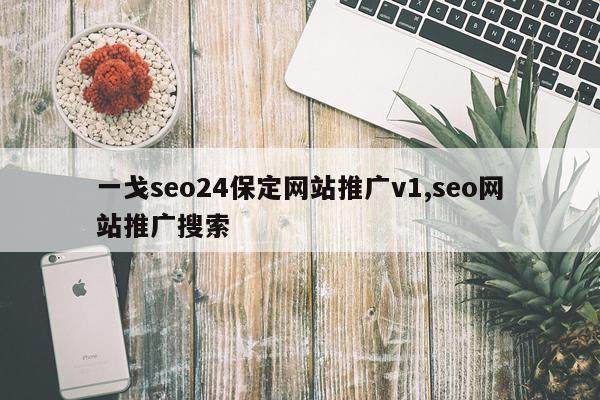 一戈seo24保定网站推广v1,seo网站推广搜索
