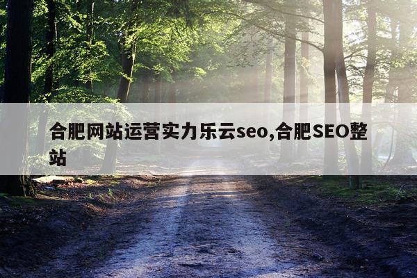 合肥网站运营实力乐云seo,合肥SEO整站