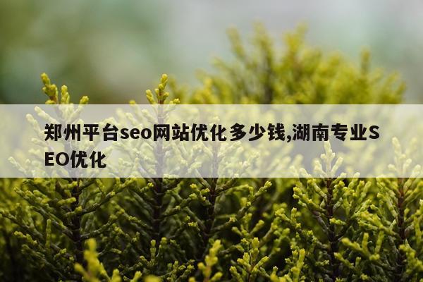 郑州平台seo网站优化多少钱,湖南专业SEO优化