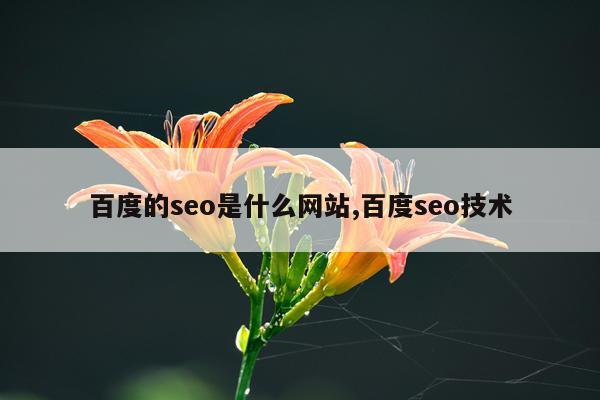 百度的seo是什么网站,百度seo技术