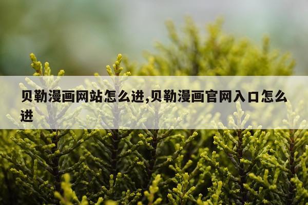 贝勒漫画网站怎么进,贝勒漫画官网入口怎么进