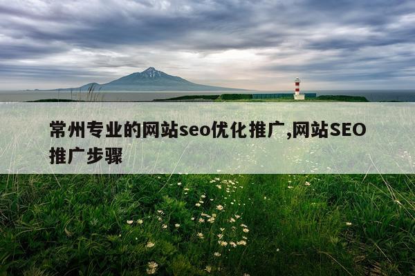 常州专业的网站seo优化推广,网站SEO推广步骤