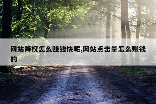 网站降权怎么赚钱快呢,网站点击量怎么赚钱的