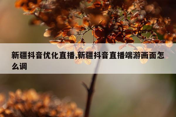 新疆抖音优化直播,新疆抖音直播端游画面怎么调