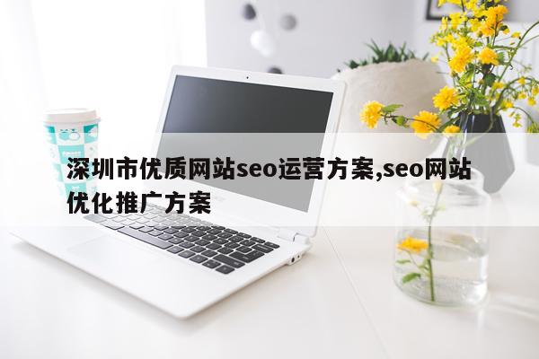深圳市优质网站seo运营方案,seo网站优化推广方案
