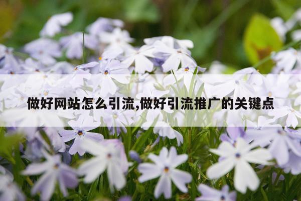 做好网站怎么引流,做好引流推广的关键点