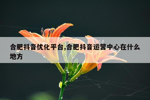合肥抖音优化平台,合肥抖音运营中心在什么地方