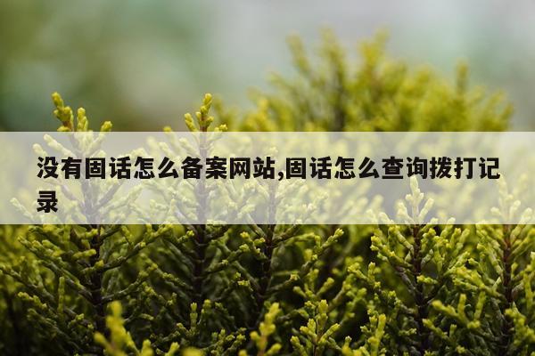 没有固话怎么备案网站,固话怎么查询拨打记录