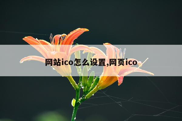 网站ico怎么设置,网页ico