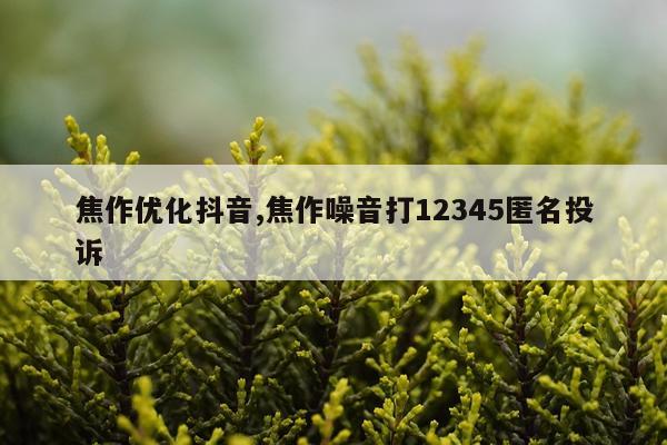 焦作优化抖音,焦作噪音打12345匿名投诉