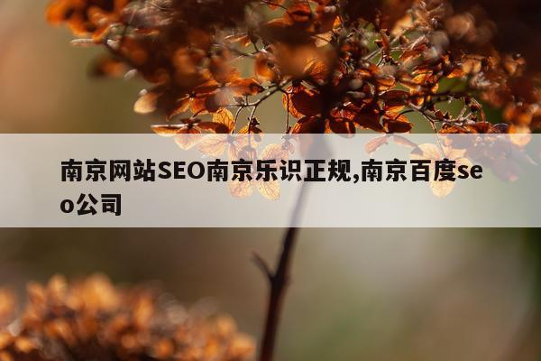 南京网站SEO南京乐识正规,南京百度seo公司