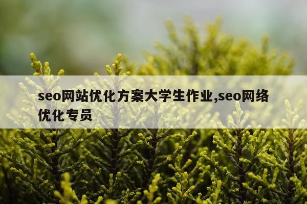 seo网站优化方案大学生作业,seo网络优化专员