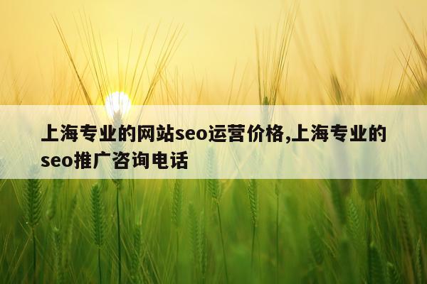 上海专业的网站seo运营价格,上海专业的seo推广咨询电话