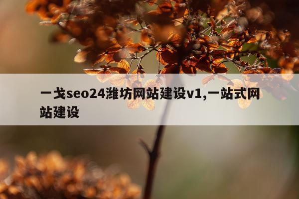 一戈seo24潍坊网站建设v1,一站式网站建设