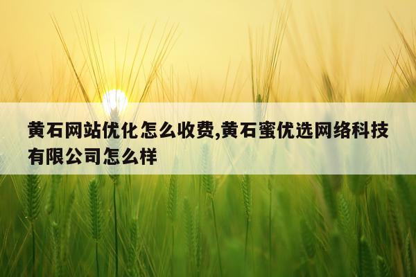 黄石网站优化怎么收费,黄石蜜优选网络科技有限公司怎么样