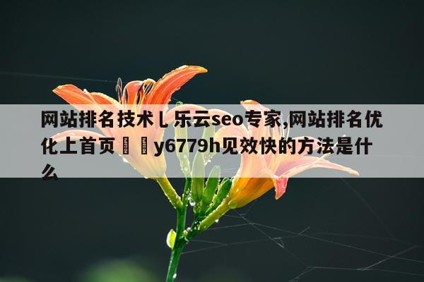 网站排名技术乚乐云seo专家,网站排名优化上首页嶶拁y6779h见效快的方法是什么