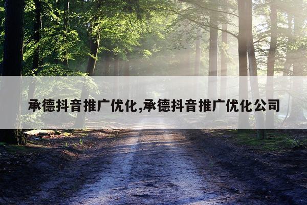 承德抖音推广优化,承德抖音推广优化公司