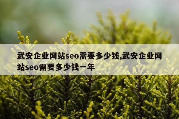 武安企业网站seo需要多少钱,武安企业网站seo需要多少钱一年