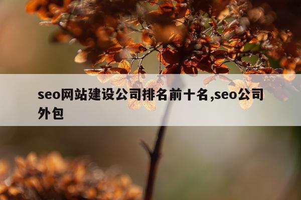 seo网站建设公司排名前十名,seo公司外包