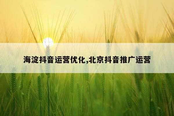 海淀抖音运营优化,北京抖音推广运营