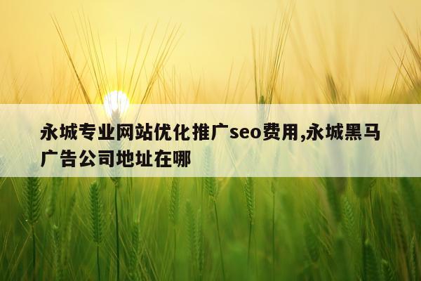 永城专业网站优化推广seo费用,永城黑马广告公司地址在哪