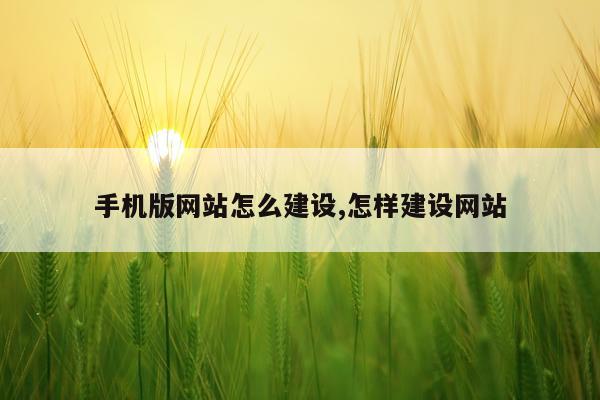 手机版网站怎么建设,怎样建设网站