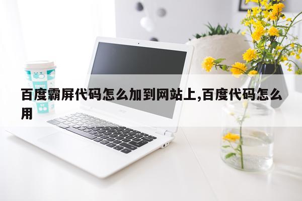 百度霸屏代码怎么加到网站上,百度代码怎么用