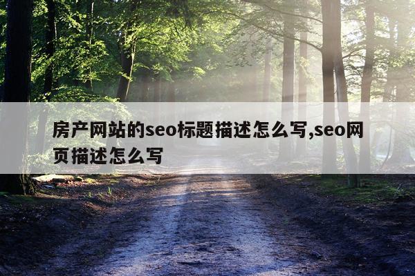 房产网站的seo标题描述怎么写,seo网页描述怎么写