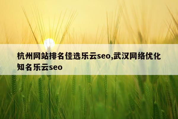 杭州网站排名佳选乐云seo,武汉网络优化知名乐云seo