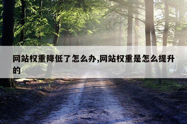 网站权重降低了怎么办,网站权重是怎么提升的