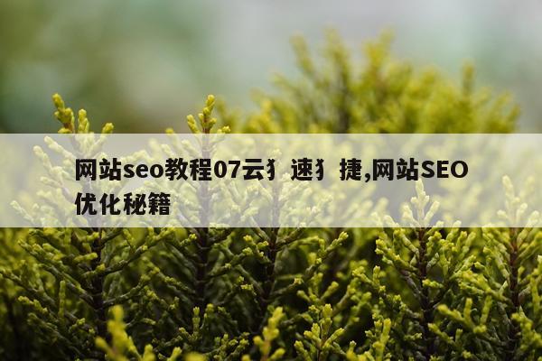 网站seo教程07云犭速犭捷,网站SEO优化秘籍