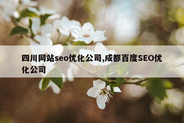 四川网站seo优化公司,成都百度SEO优化公司