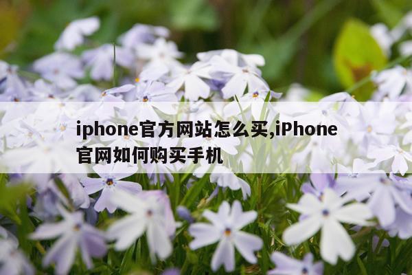 iphone官方网站怎么买,iPhone官网如何购买手机