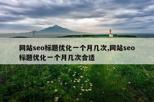 网站seo标题优化一个月几次,网站seo标题优化一个月几次合适