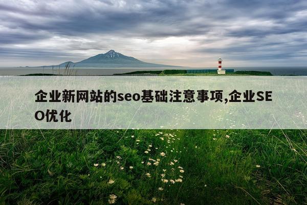 企业新网站的seo基础注意事项,企业SEO优化