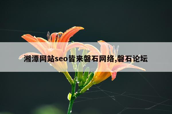 湘潭网站seo皆来磐石网络,磐石论坛