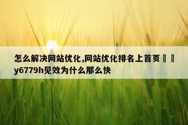 怎么解决网站优化,网站优化排名上首页拁矀y6779h见效为什么那么快