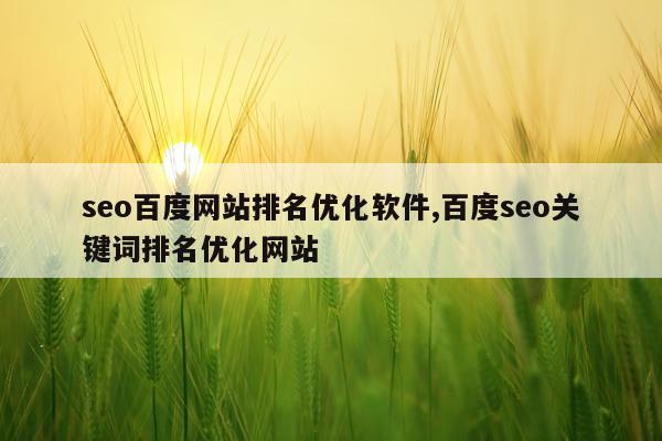 seo百度网站排名优化软件,百度seo关键词排名优化网站
