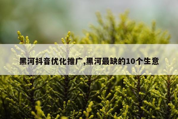 黑河抖音优化推广,黑河最缺的10个生意
