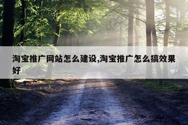 淘宝推广网站怎么建设,淘宝推广怎么搞效果好