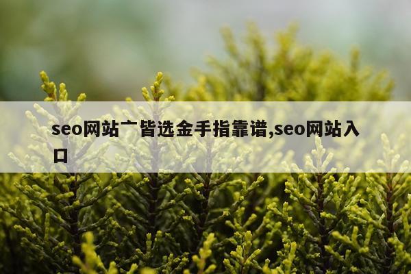 seo网站亠皆选金手指靠谱,seo网站入口