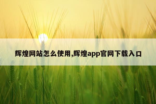 辉煌网站怎么使用,辉煌app官网下载入口