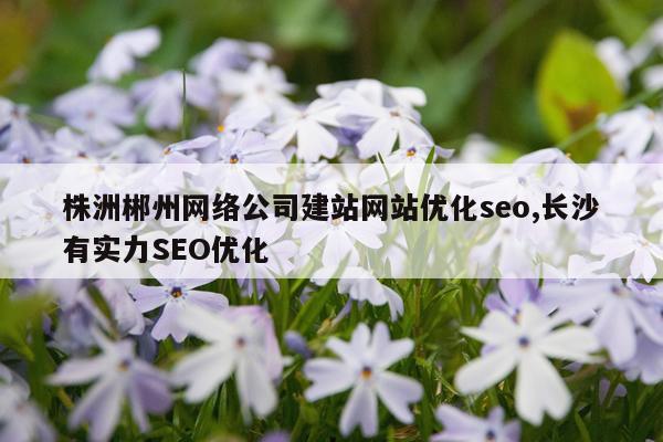 株洲郴州网络公司建站网站优化seo,长沙有实力SEO优化