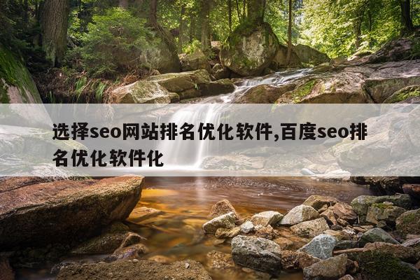 选择seo网站排名优化软件,百度seo排名优化软件化