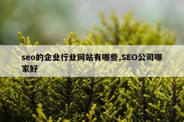 seo的企业行业网站有哪些,SEO公司哪家好
