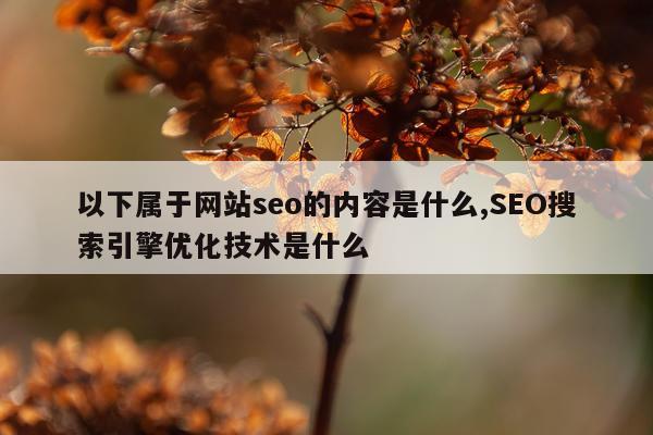 以下属于网站seo的内容是什么,SEO搜索引擎优化技术是什么