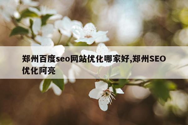 郑州百度seo网站优化哪家好,郑州SEO优化阿亮