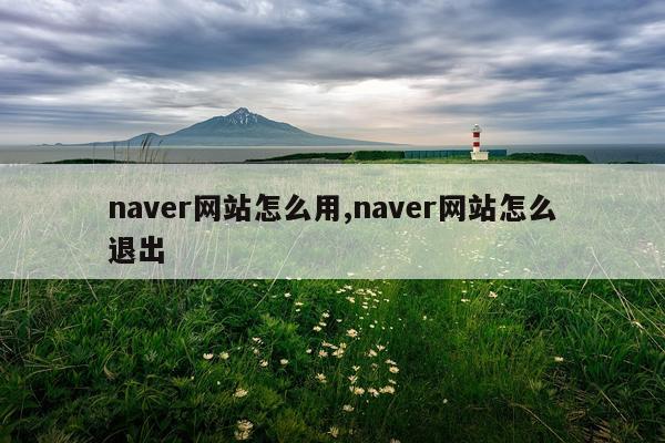 naver网站怎么用,naver网站怎么退出