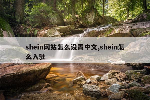 shein网站怎么设置中文,shein怎么入驻
